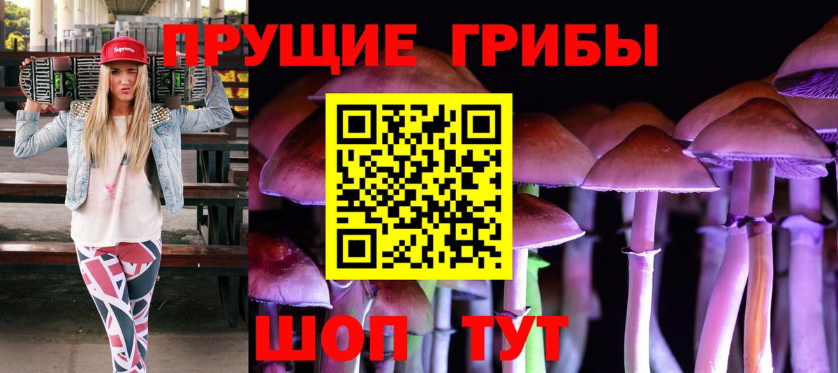 Галлюциногенные грибы MAGIC MUSHROOMS  магазин    Кировск  Вход с VPN 